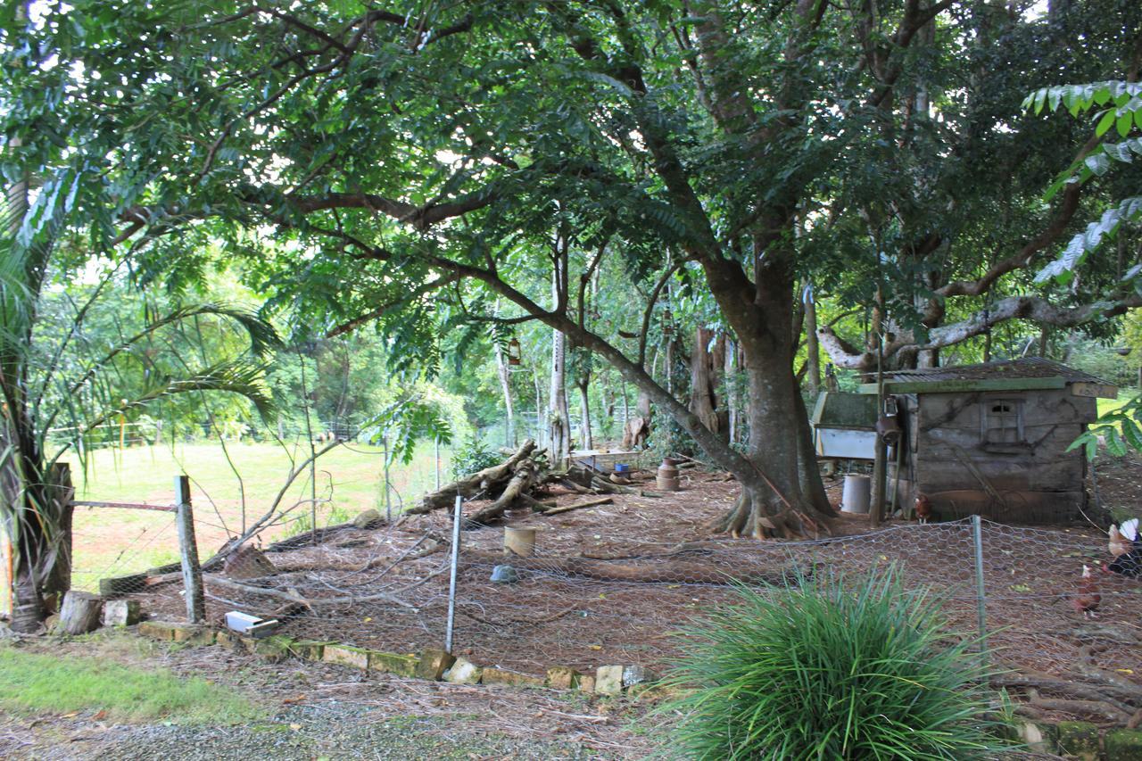 Alstonville Country Cottages Екстериор снимка
